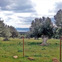 Land plot in Greece