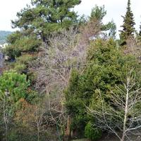 Townhouse in Greece, Central Macedonia, Center, 180 sq.m.