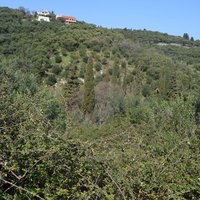 Земельный участок в Греции, Ионические острова