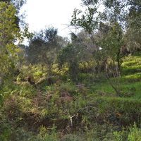 Land plot in Greece, Ionian Islands