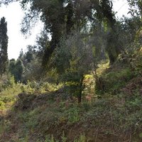 Land plot in Greece, Ionian Islands