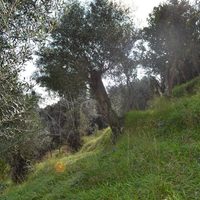 Land plot in Greece, Ionian Islands