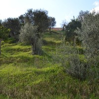 Land plot in Greece, Ionian Islands