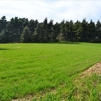 Land plot in Greece, Central Macedonia, Center