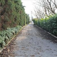 Villa in Greece, Ionian Islands, 360 sq.m.