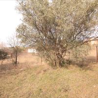 Земельный участок в Греции, Ионические острова