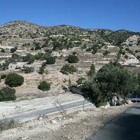 Земельный участок на Кипре, Пафос