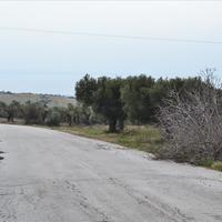 Land plot in Greece, Central Macedonia, Khal