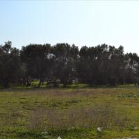 Other in Greece, Central Macedonia, Khal, 80 sq.m.