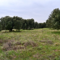 Земельный участок в Греции, Центральная Македония, Хал