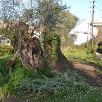 Земельный участок в Греции, Ионические острова