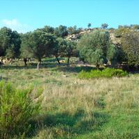 Land plot in Greece, Central Macedonia, Center, 3200 sq.m.