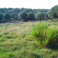 Land plot in Greece, Central Macedonia, Center, 3200 sq.m.