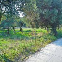 Land plot in Greece, Central Macedonia, Center, 3200 sq.m.