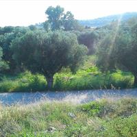 Land plot in Greece, Central Macedonia, Center, 3200 sq.m.