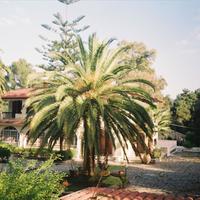 Villa in Greece, Ionian Islands, 584 sq.m.