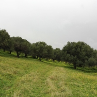 Land plot in Greece, Crete, Irakleion