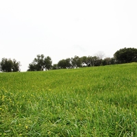 Land plot in Greece, Crete, Irakleion