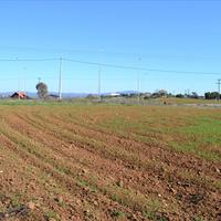 Земельный участок в Греции, Центральная Македония, Хал, 9000 кв.м.