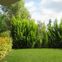 Таунхаус в Греции, Центральная Македония, Центр, 90 кв.м.