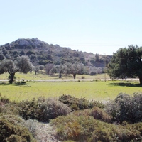 Land plot in Greece, Dode