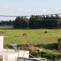 Other in Greece, Dode, 370 sq.m.