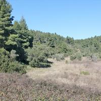 Земельный участок в Греции, Центральная Македония, Центр, 2860 кв.м.