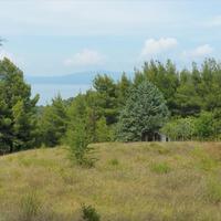 Земельный участок в Греции, Центральная Македония, Центр