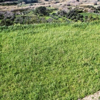 Other in Greece, Dode, 133 sq.m.