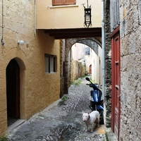 Other in Greece, Dode, 95 sq.m.