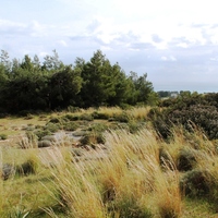 Land plot in Greece, Dode
