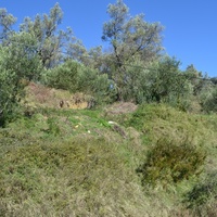 Land plot in Greece, Ionian Islands