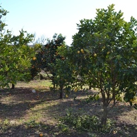 Land plot in Greece, Ionian Islands