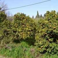 Земельный участок в Греции, Ионические острова