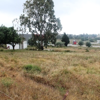 Land plot in Greece, Dode