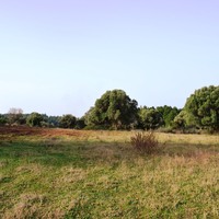 Land plot in Greece, Central Macedonia, Center