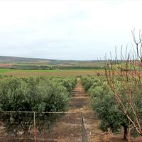 Other in Greece, Central Macedonia, Khal, 110 sq.m.