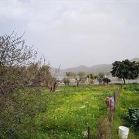 Land plot in Greece, Crete