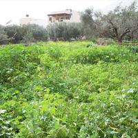 Land plot in Greece, Crete
