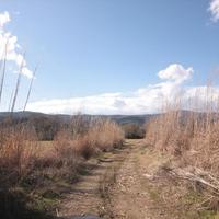 Land plot in Greece, Central Macedonia, Khal