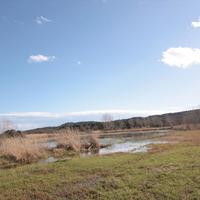Land plot in Greece, Central Macedonia, Khal