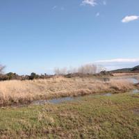 Land plot in Greece, Central Macedonia, Khal