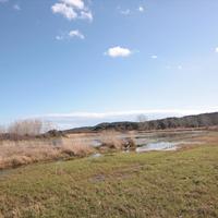 Land plot in Greece, Central Macedonia, Khal