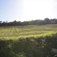 Земельный участок в Греции, Dode