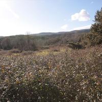 Land plot in Greece, Central Macedonia, Khal