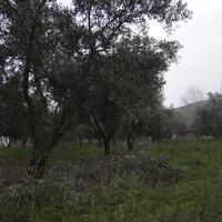 Land plot in Greece, Central Macedonia, Center