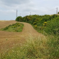Land plot in Greece, Dode