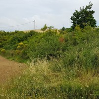 Land plot in Greece, Dode