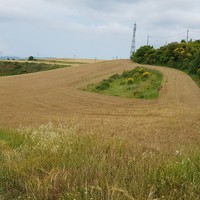 Land plot in Greece, Dode