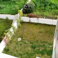 Other in Greece, Dode, 207 sq.m.